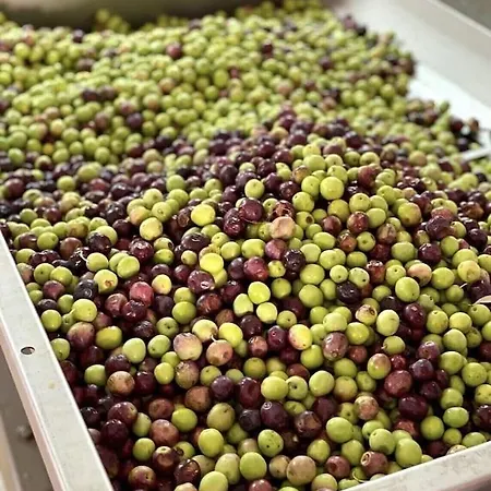 Spacious New With Pool Above The Pristine - First Season Pricing!!!