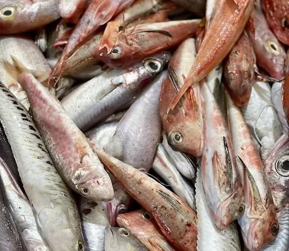 Spacious New With Pool Above The Pristine - First Season Pricing!!! Villa *