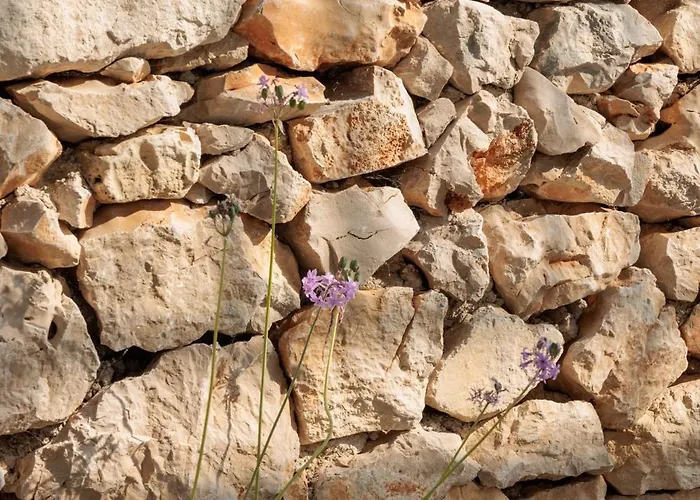 Spacious New With Pool Above The Pristine - First Season Pricing!!! Villa